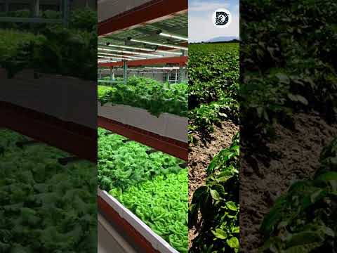 The Green Revolution, initiated in the mid 20th century #shorts #video #history