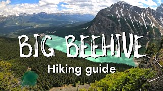 BIG BEEHIVE HIKE | BEST view of Lake Louise