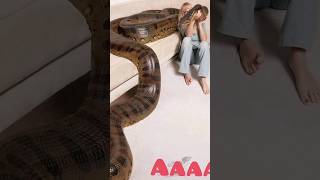 giant snake_giant animals #specialeffects #edit