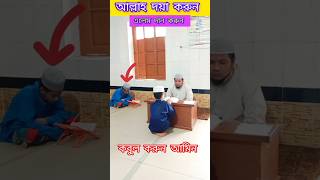 ঈমানের পাখিরা তেলাওয়াত করছে #ইসলামিক_ভিডিও #viralvideo #shortvideo #shorts