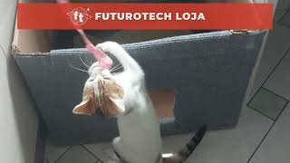 Essa Gata Destrói Tudo! O Carpete Adesivo FuturoTech Salvou Meu Sofá!