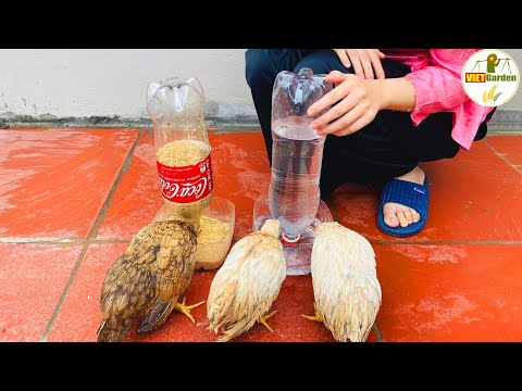 Why I Didn't Know How To Make This Chicken Feeding And Drinking Tray Before? Everybody can do it