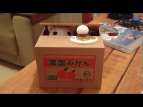 =^.^= Funny Money Box =^.^=