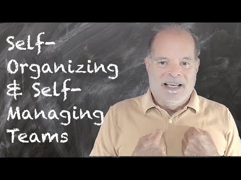 018 Self Organizing vs Self Managing Teams