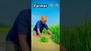गांव 🌾 🌾 ❤️ #farmerworld #modernfarmer #farmingcareer #farminglife #farming #gaav #gaam #village