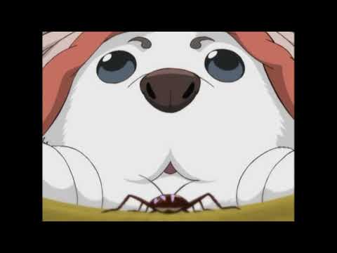 The Moment Sadaharu Saved the Entire Planet from Being Overrun by Cockaroaches