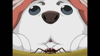 The Moment Sadaharu Saved the Entire Planet from Being Overrun by Cockaroaches