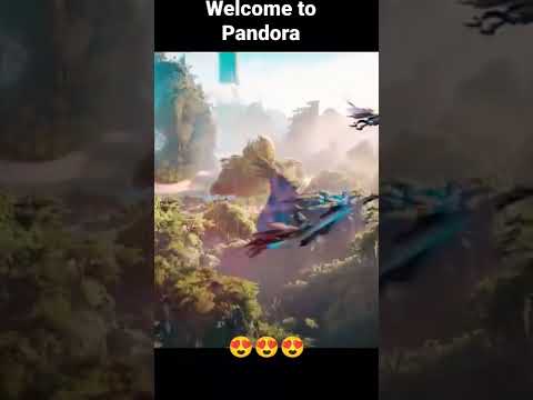 Welcome to Pandora