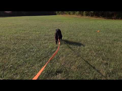 Tito Tracking 20200921