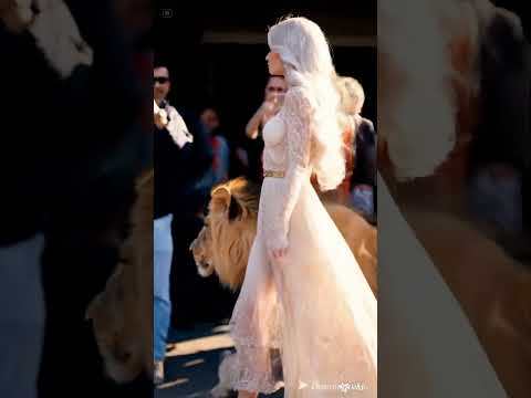 सुंदर लड़की ने शेर के साथ नहाया | Lion Bathing with Beautiful Girl | Viral Wildlife Video 2025