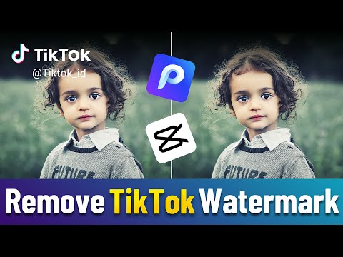 How to Remove TikTok Watermark from Video with/without CapCut