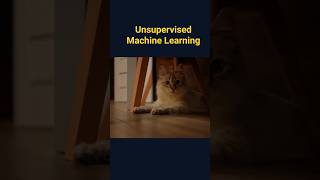 🤖 Unsupervised & Reinforcement Learning Explained #machinelearning #datascience #mlbasics