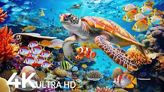Underwater Wonders 4K - Amazing Fish, Coral Reefs & Sea Animals - Fish Tank Sound For Deep Sleep #22