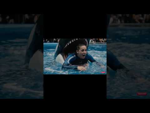 Jessica radcliffe orca attack full story//😱#trending #jessica #jessicasoho #shortsfeed #shortfeed