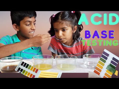 Testing acids and bases using litmus paper | Easy science experiment | Science Wizz