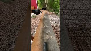 MOLD on WOOD!?