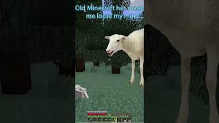 Minecraft has made me loose my mind... #shorts #minecraft #algorithm