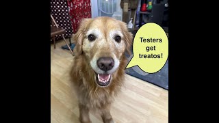 Intro to Scent Work: Mistakes 3-5