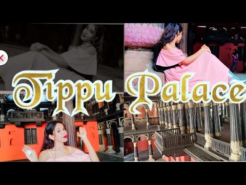 A day at 🏯 #tippusultan #palace @Reality_nur ! #vlog #yt