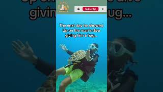 Saving a Turtle🐢 and Whale🐋 from Tangled Rope 🪢