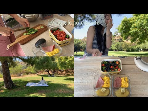 ✿˖˚ ༘ LA vlog ꩜ picnic date with mom, making picnic bento box, Quince clothing haul, weekend brunch