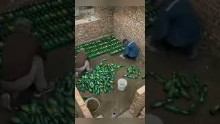 build a house out of glass bottle – Great home decor ideas ▶ 009