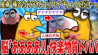 【快楽】皮膚「掻いたらアカンで‼」ワイ「ちょっとだけ…」ﾎﾟﾘﾎﾟﾘ→脳「ああああああぁぁ‼」【2ch面白いスレ】