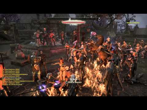 Elder Scrolls Online Beta - Davon's Watch fountain party