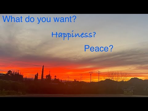 Don’t search for happiness! What??