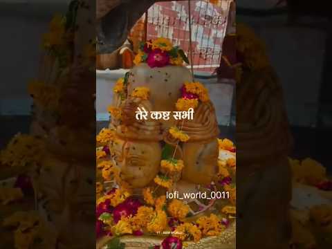 Bholenath shiv sakti #shorts #bholenath #shivshakti #shortsvideo #viralvedio #seva