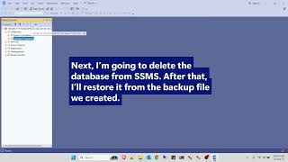 Database Backup and Restore