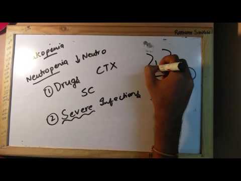 Introduction to WBC Disorders