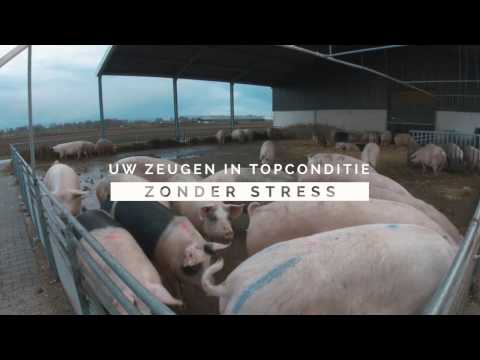 Fancom IntelliTek - Elektronisch zeugenvoerstation