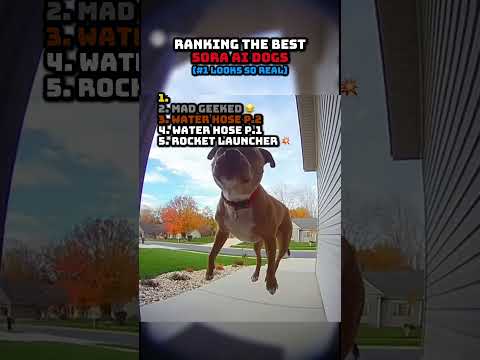 Ranking Sora AI Dog Videos 🐕
