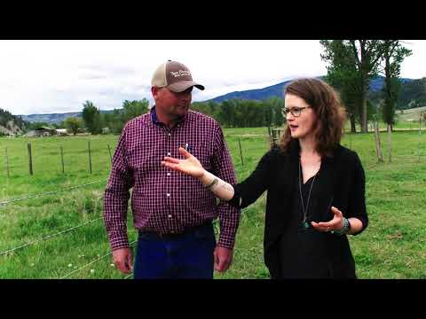 Fencing in BC | Noel McKinnon | BCCA