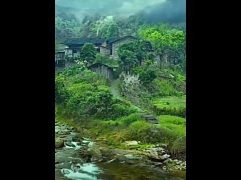 Best nature video || Laila Tonny Kakkar song #shorts #ytshortsindia #whatsappstatus