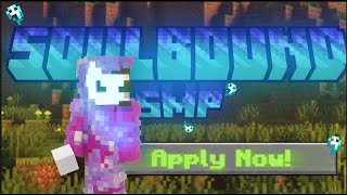Minecraft's BEST SMP for small content creators! | Applications open