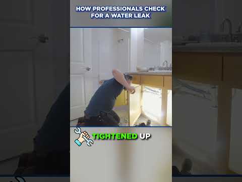 How Professionals Check for a Water Leak