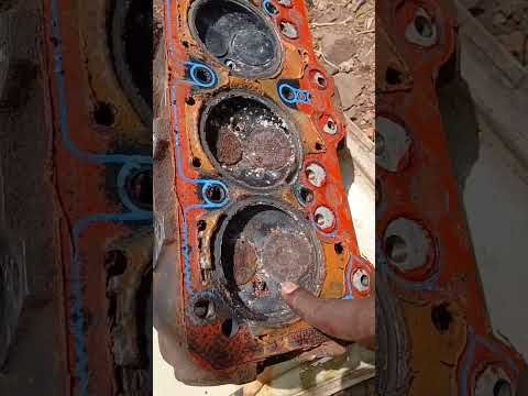 Restoring a dead peugeot 504. #peugeot #peugeot504 #fyp .