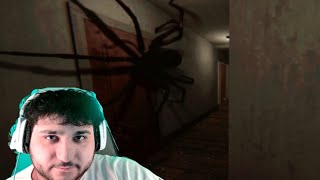 BRO WHAT KIND OF BREED IS THIS SPIDER???