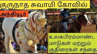 India's Biggest Horse and cattle Market | Anthiyur Gurunathaswamy Temple Festival |Erode| logonTamil