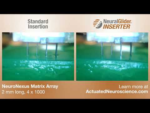 NeuralGlider NeuroNexus 2mm long 4x1000 Matrix Array Comparison