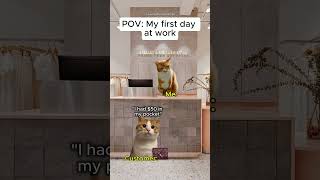 CAT MEMES | FIRST DAY AT WORK #relatable #cat  #catmemes#relationship#funny #memesdaily #fypviralシ゚