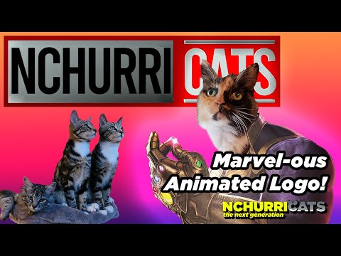 Meet the NCHurricats, Second Version | Marvel Studios Intro 🐈🐈🐈 #cat #catdad