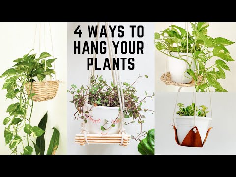 4 unique ideas to hang your indoor plants