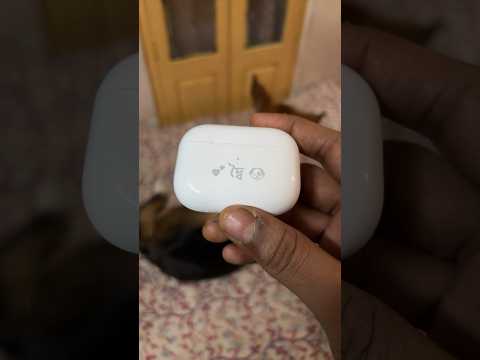 Customized AirPods Pro 2 ft. Willy 🐶 #airpodspro