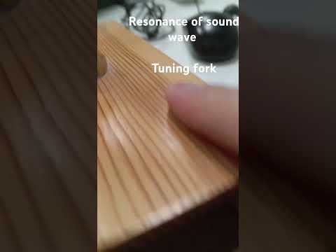 Resonance of sound wave . Tuning fork. #shorts #physics #experiments #newtonfreeschool #physicslab