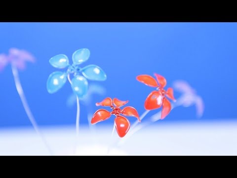 5 COOL AND SIMPLE LIFE HACKS OR DIY!