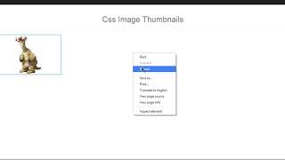 004 Creating Image gallery