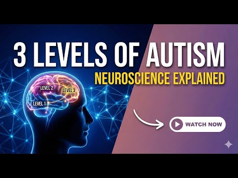 Autism Support Levels Explained: Neuroscience of Level 1, 2, & 3